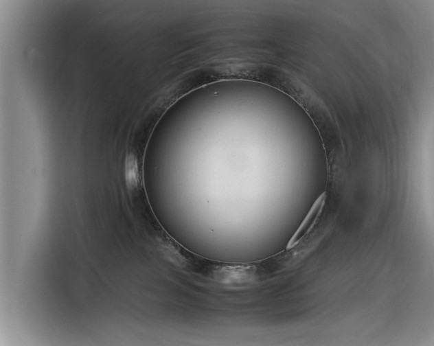 X0000116260089200912071031