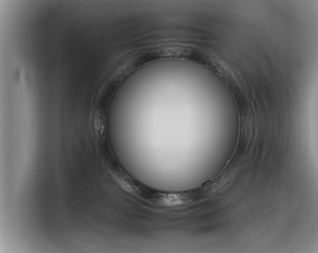 X0000116260091200912071031
