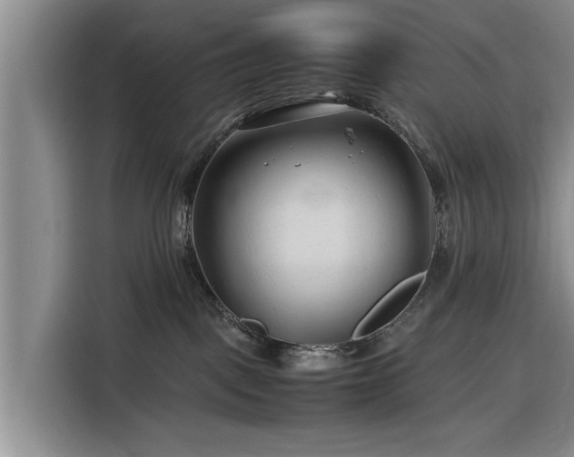 X0000116260093200912071031