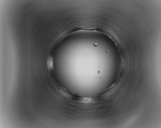 X0000116260095200912071031