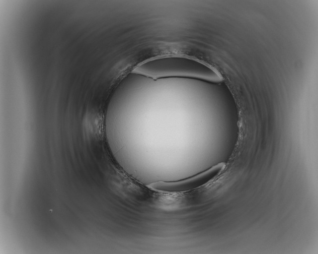 X0000116260096200912071031