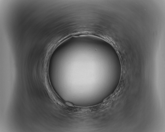 X0000116260097200912071030