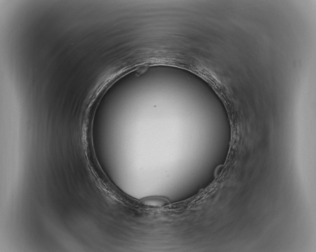 X0000116260098200912071030