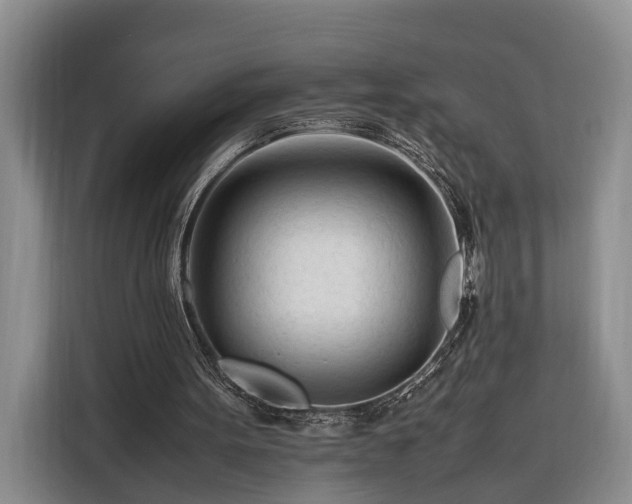 X0000116260099200912071030