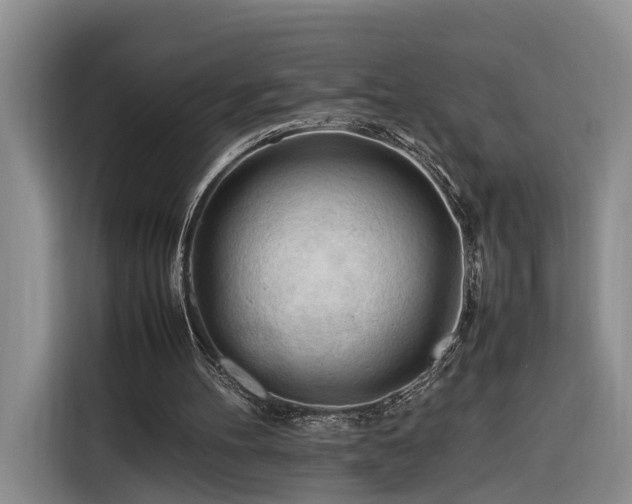 X0000116260100200912071030
