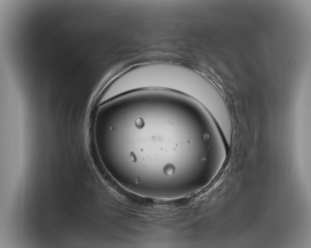 X0000116260101200912071030