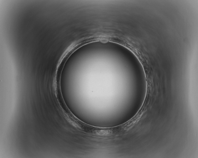 X0000116260102200912071030