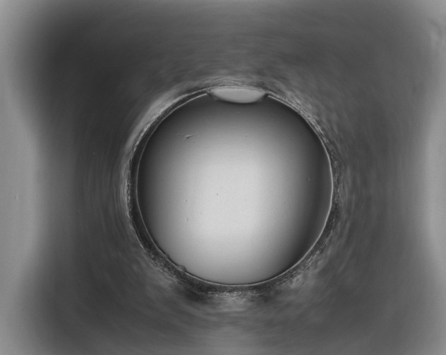 X0000116260103200912071030