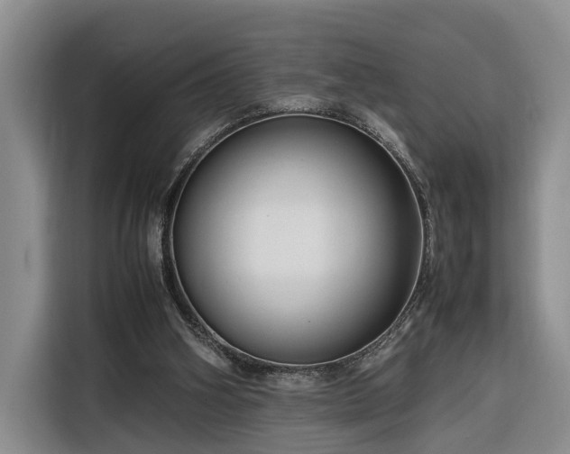 X0000116260106200912071030