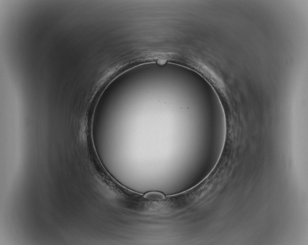 X0000116260107200912071030