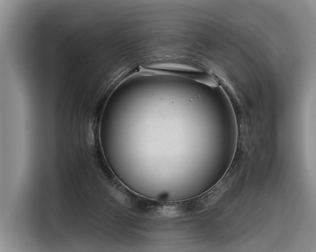 X0000116260114200912071030