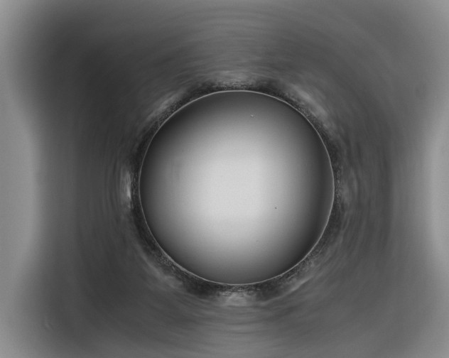 X0000116260115200912071030