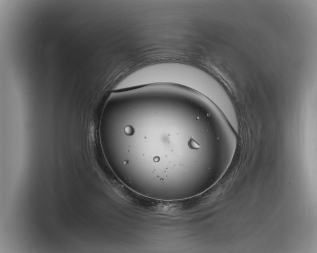 X0000116260117200912071030