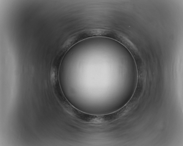 X0000116260119200912071030