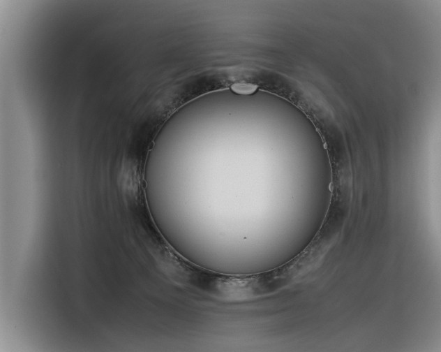 X0000116260129200912071030