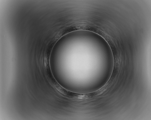X0000116260130200912071030