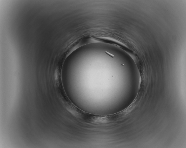 X0000116260132200912071030