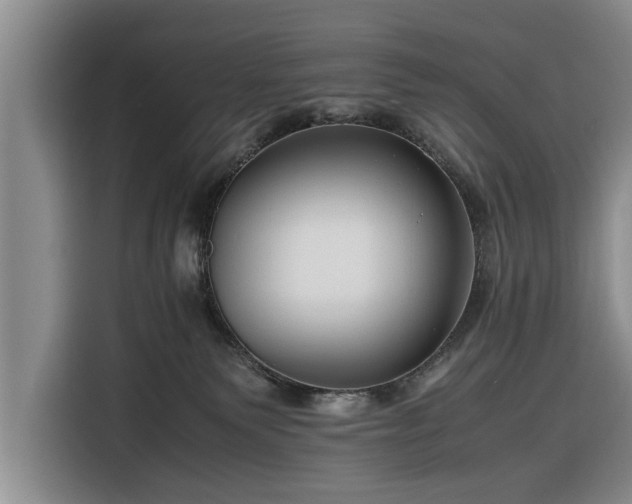 X0000116260135200912071030