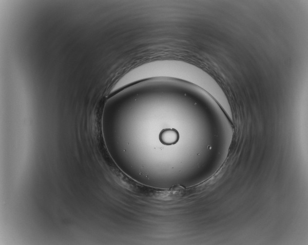 X0000116260136200912071030