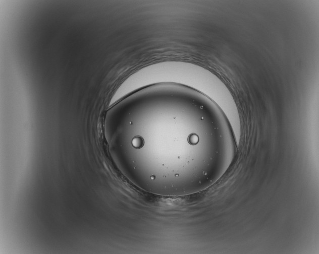 X0000116260137200912071030