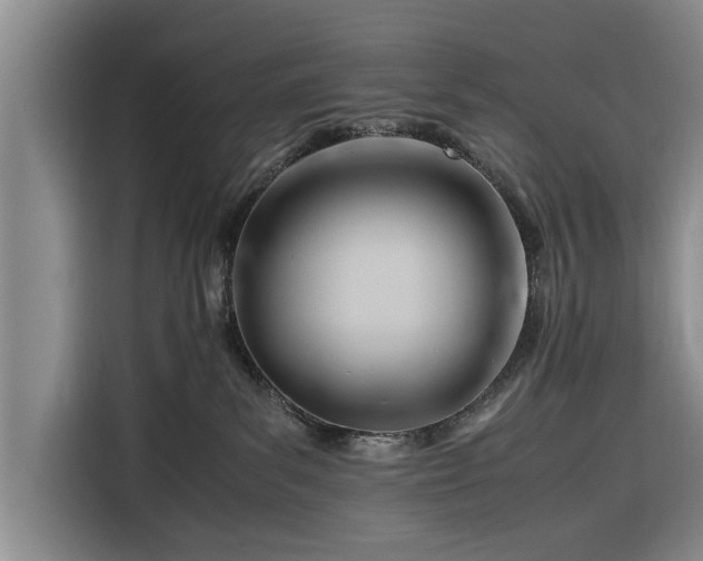 X0000116260139200912071030