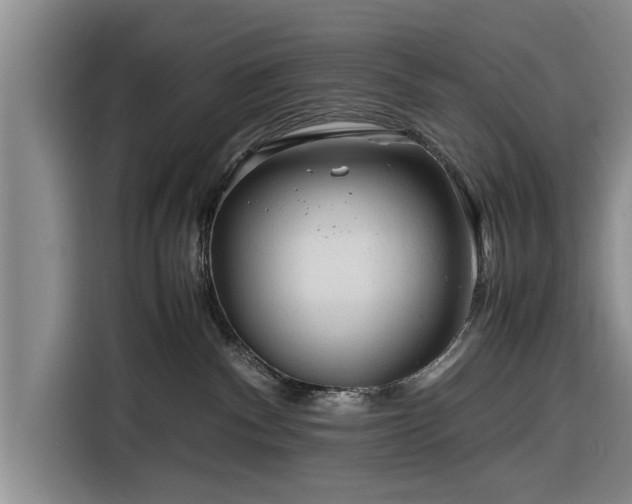 X0000116260140200912071030