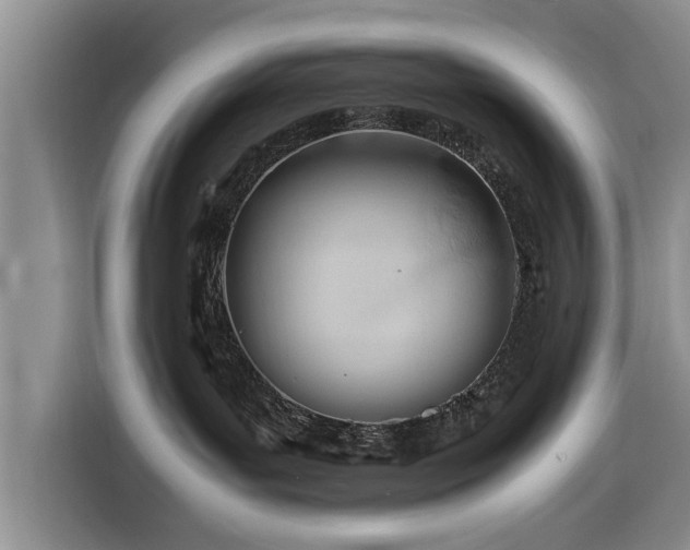 X0000116260143200912071030