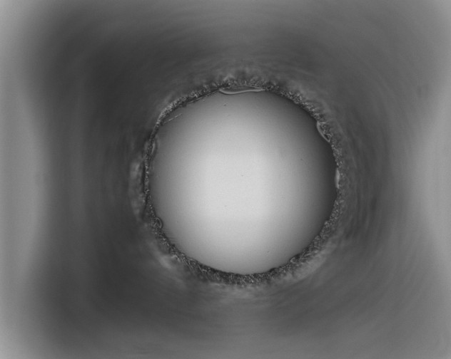 X0000116260144200912071030