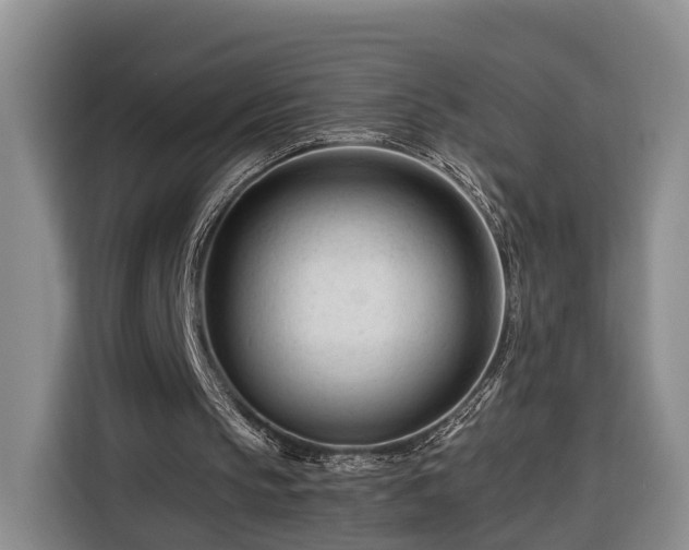 X0000116260145200912071029