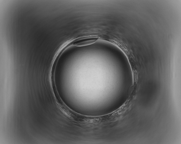 X0000116260147200912071029