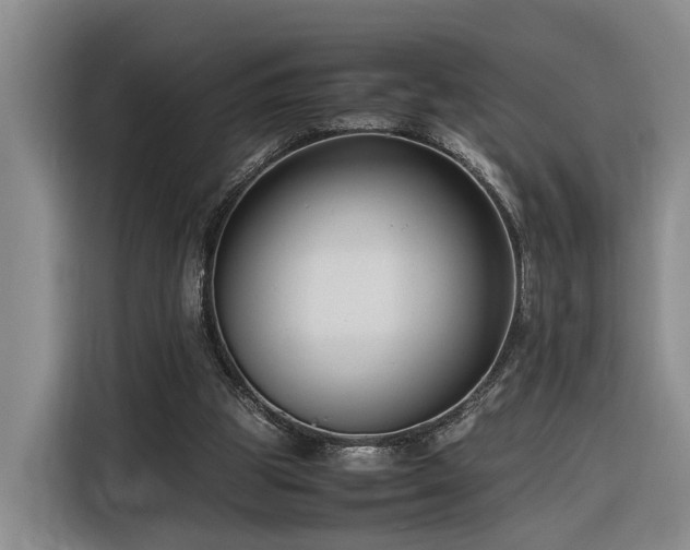X0000116260153200912071029