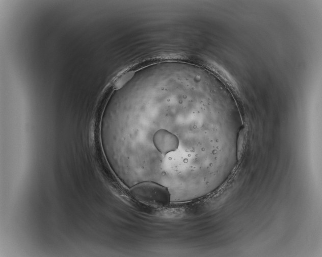 X0000116260155200912071029