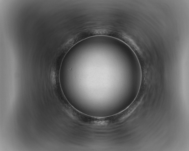 X0000116260161200912071029