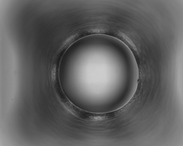 X0000116260163200912071029
