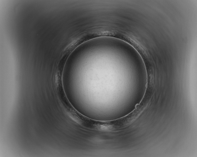X0000116260165200912071029