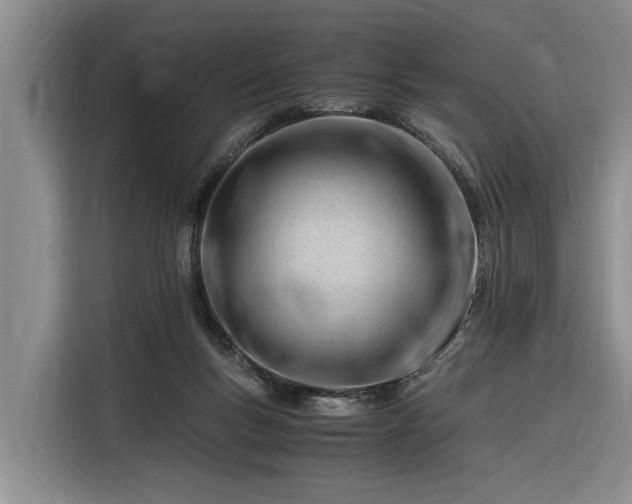 X0000116260167200912071029