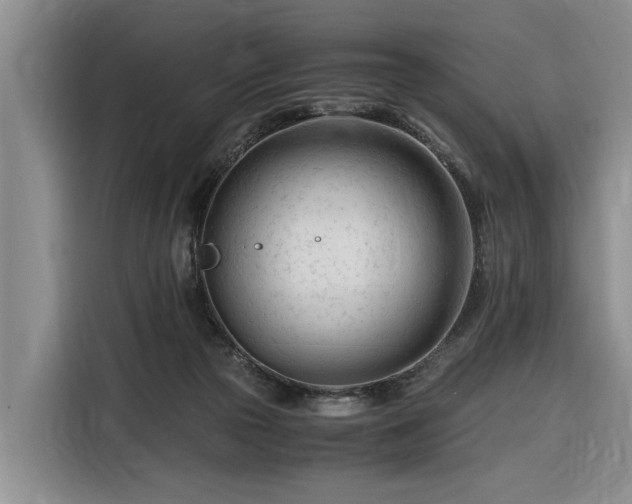 X0000116260169200912071029