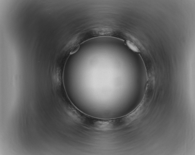 X0000116260170200912071029