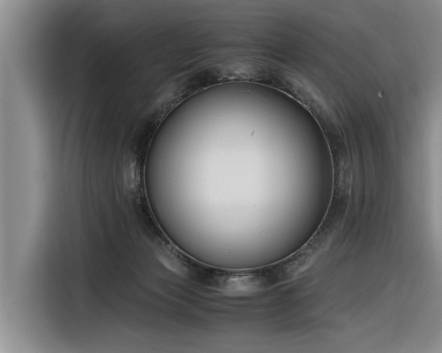 X0000116260173200912071029
