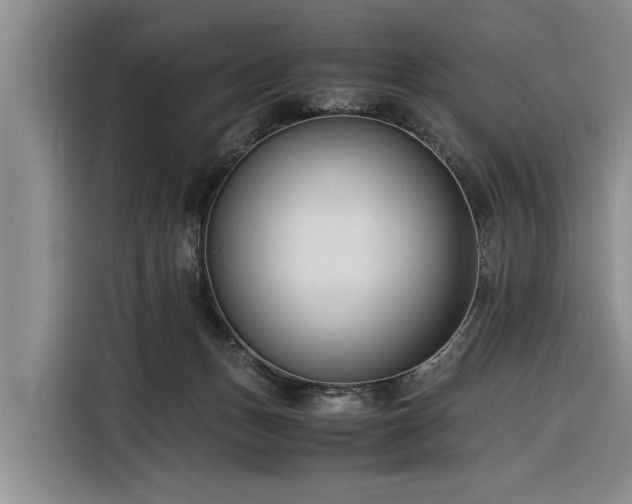 X0000116260175200912071029