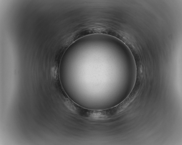X0000116260177200912071029