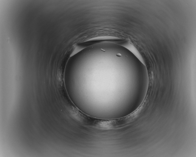 X0000116260178200912071029