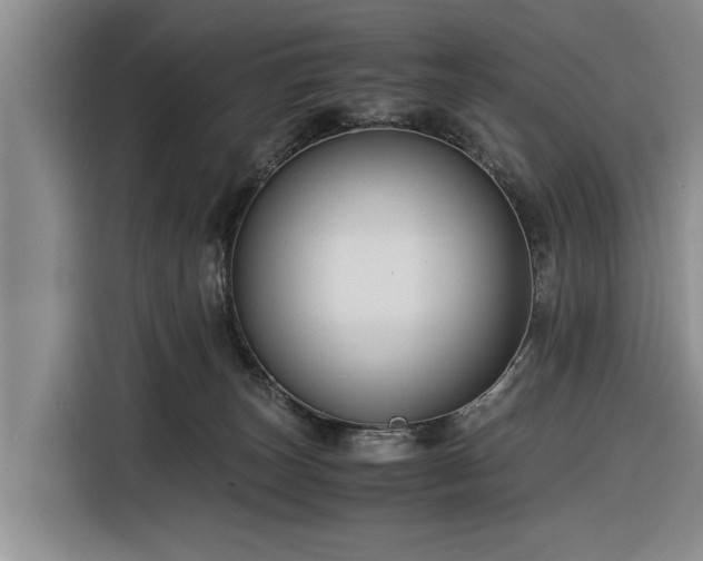 X0000116260179200912071029