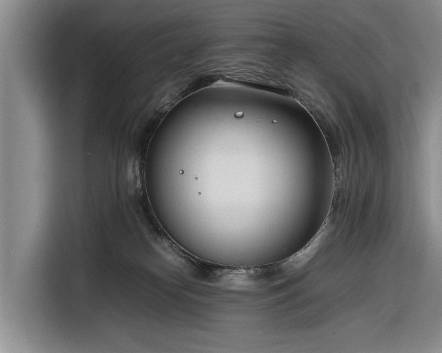X0000116260182200912071029