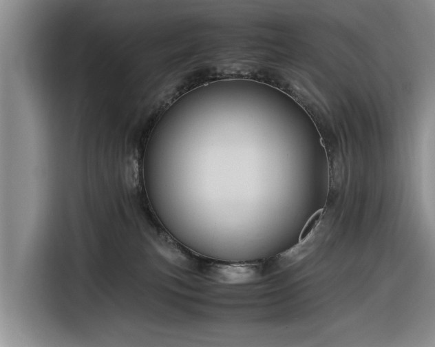 X0000116260183200912071029