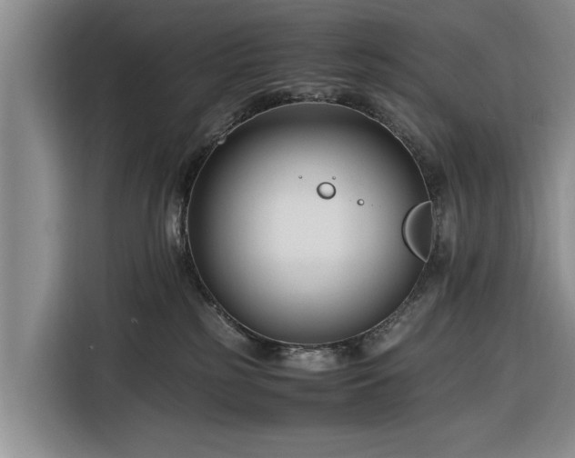 X0000116260185200912071030