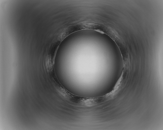 X0000116260186200912071030