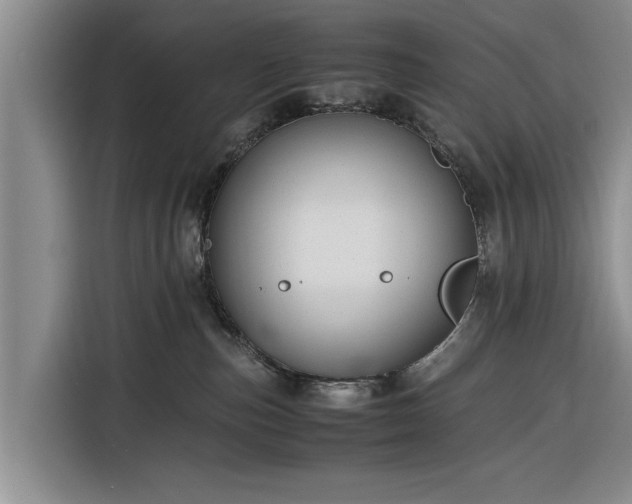X0000116260187200912071030