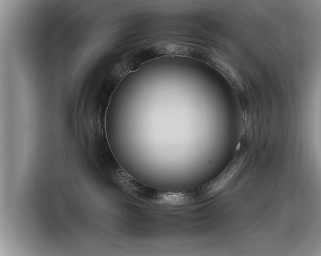 X0000116260189200912071030