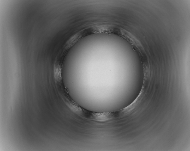 X0000116260191200912071030